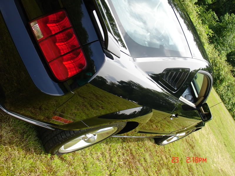 Mustang036.jpg