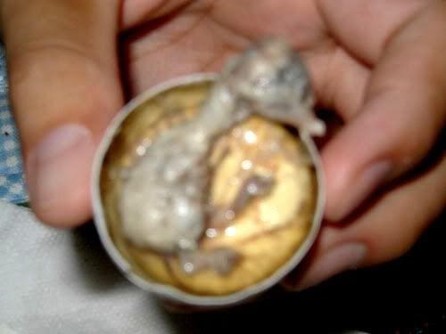 image: balut4