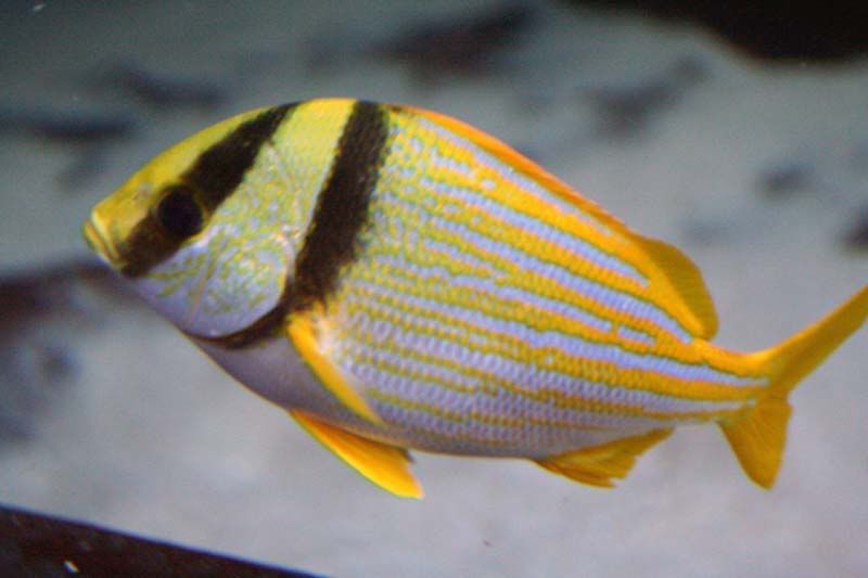 IMAGE: http://img.photobucket.com/albums/v500/HBlair/b2d4b3bc.jpg