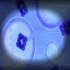 Regeneration1.gif