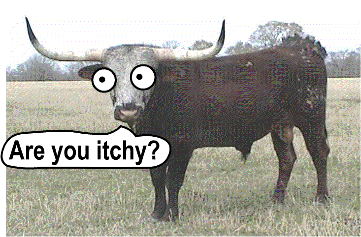 areyouitchy.png