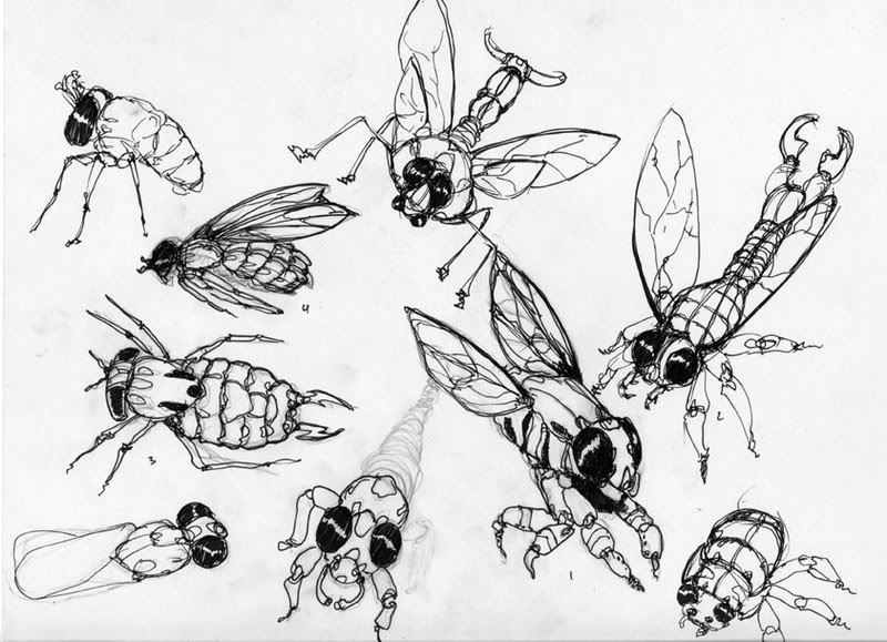 Bugs Drawings