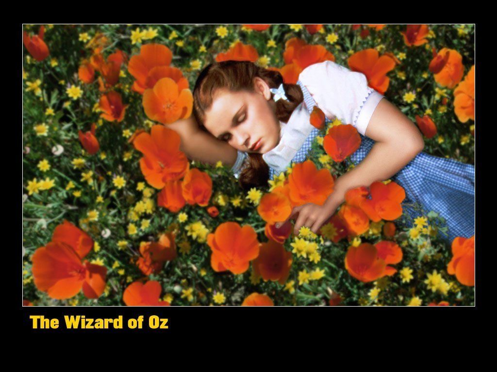 Dorothy-In-the-Poppy-Field-the-wizard-of-oz-4640408-1024-768.jpg