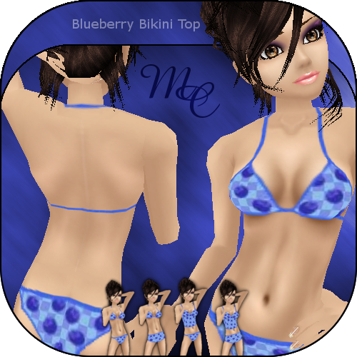 Blueberry Bikini Top