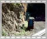 Waitakere Tramline
