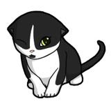 adopt_a_kitten08.jpg
