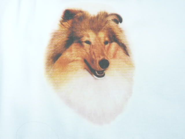 Plksheltieell.jpg