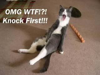 funny Pictures, Images and Photos