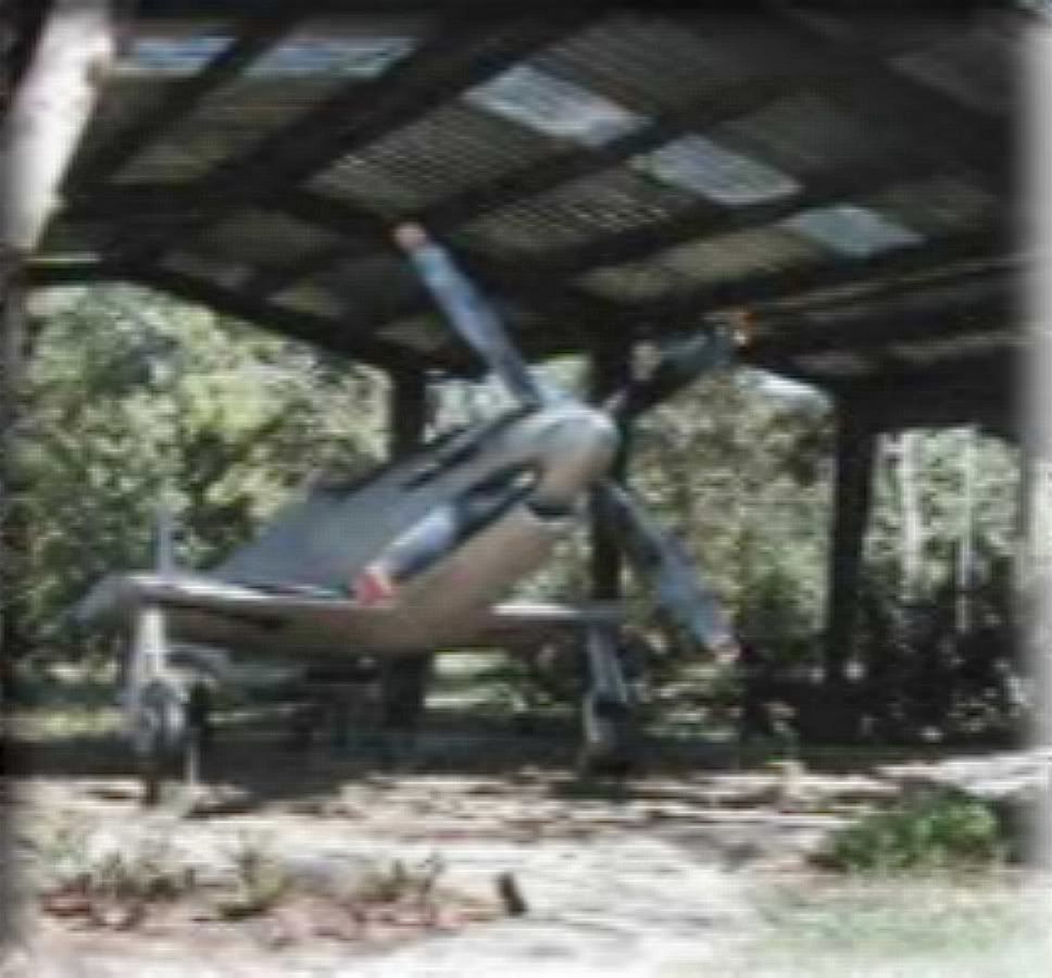 http://img.photobucket.com/albums/v503/swissmustangs/fuerza_area_revolucionaria3a.jpg