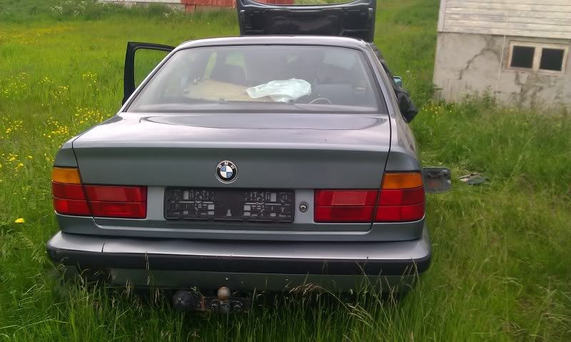 IMAG0848.jpg