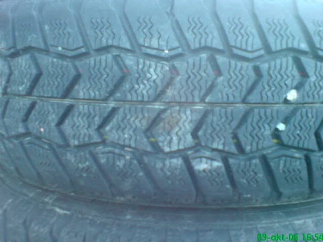 DSC00204.jpg