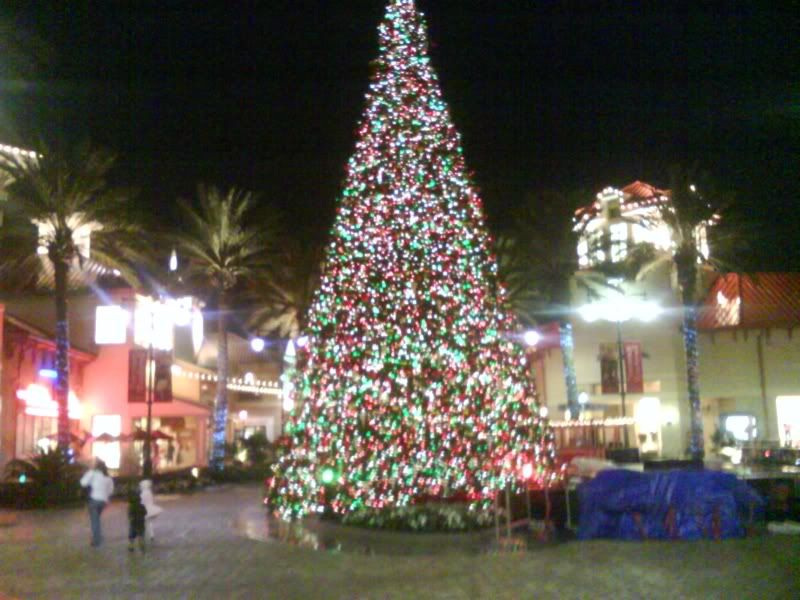 Christmas Tree at the Commons