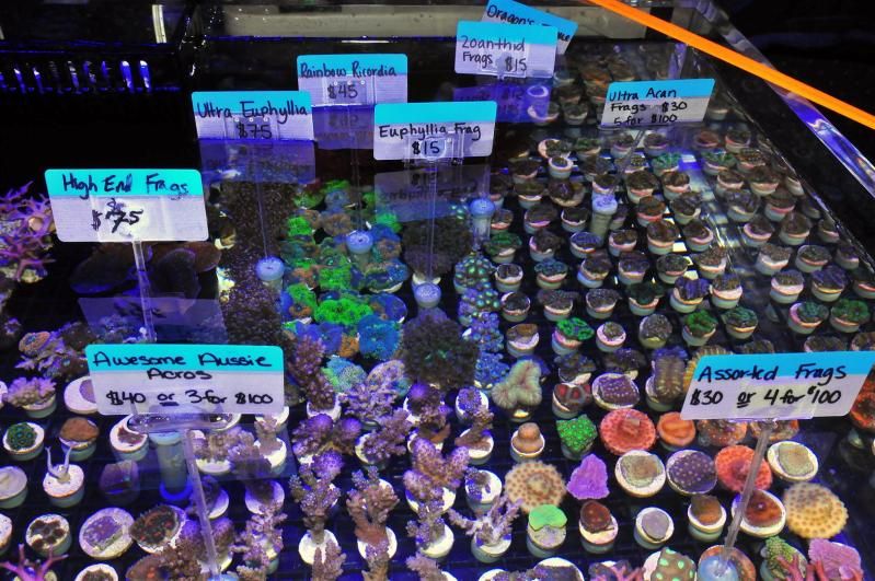 GAA 1014Large - Michigan's Largest Coral Swap!  - Lansing, MI (Jan. 27, 2013)