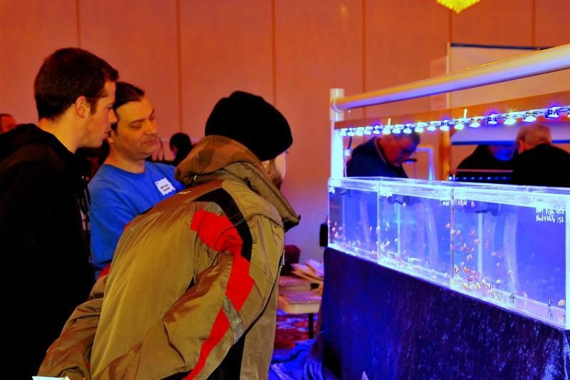 GAA 1033Large - Michigan's Largest Coral Swap!  - Lansing, MI (Jan. 27, 2013)