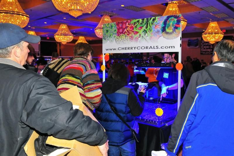 GAA 1039Large - Michigan's Largest Coral Swap!  - Lansing, MI (Jan. 27, 2013)