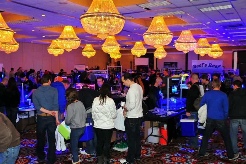 GAA 1041Large - Michigan's Largest Coral Swap!  - Lansing, MI (Jan. 27, 2013)