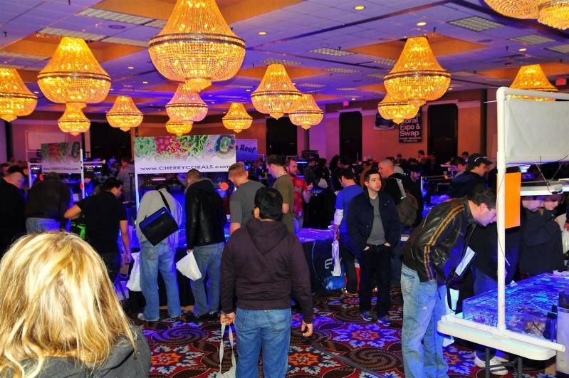 Speed dating in lansing michigan