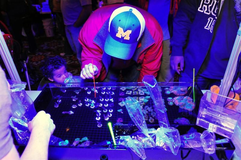 GAA 1051Large - Michigan's Largest Coral Swap!  - Lansing, MI (Jan. 27, 2013)