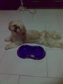 Photobucket - Video and Image Hosting