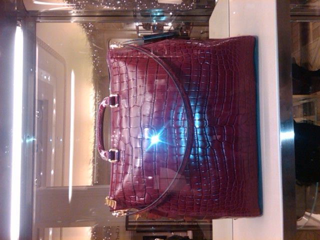 parda bag - My Closet Tales ~: Prada: Crocodile Bag $23k