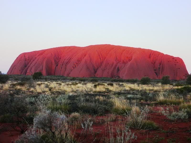 CENTRALAUSTRALIA-JULY2009059.jpg