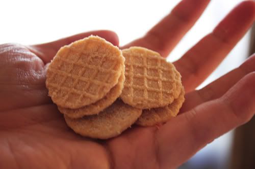 Butter Wafers