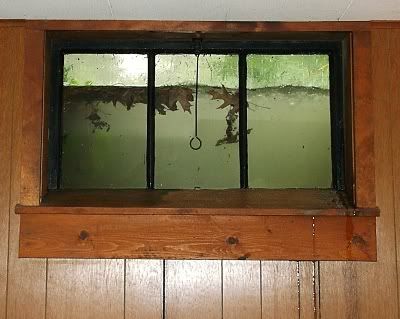 fishbowl window