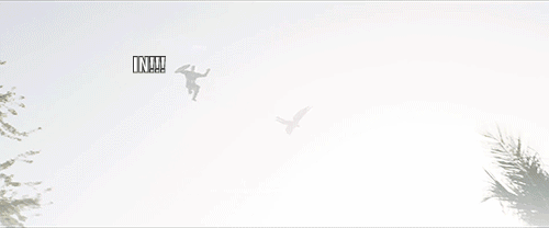 65513-in.gif