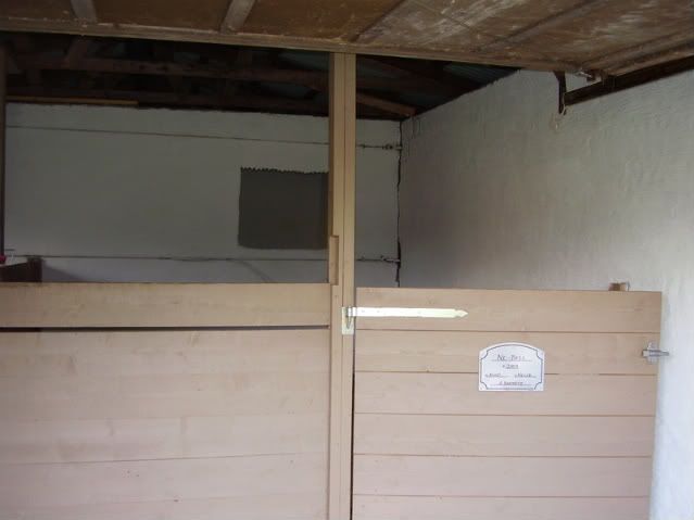 P8020001.jpg