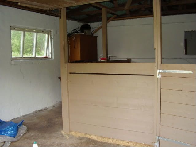 P8020002.jpg