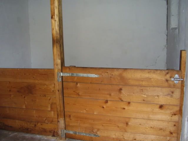 P8020003.jpg