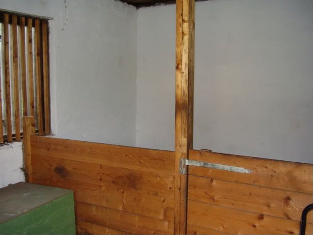 P8020004.jpg