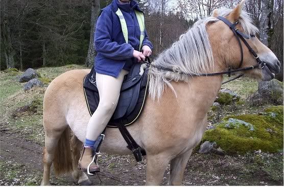nebellochbomlsfrminskad.jpg