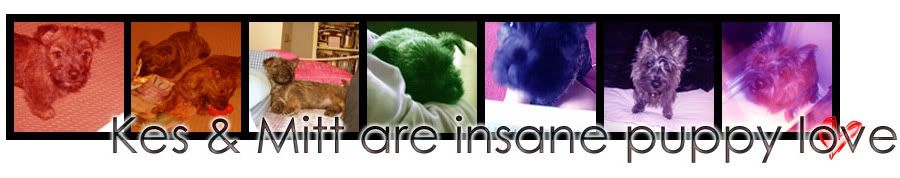 Image hosting by Photobucket