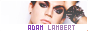 ( ADAMant ) for your entertainment -- your Adam Lambert source;