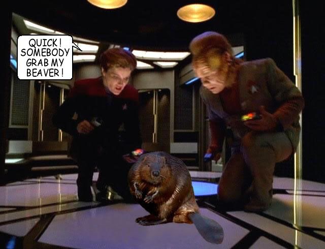 JanewayBeaver001a.jpg