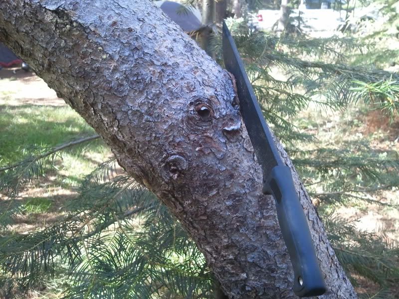 [Linked Image from img.photobucket.com]
