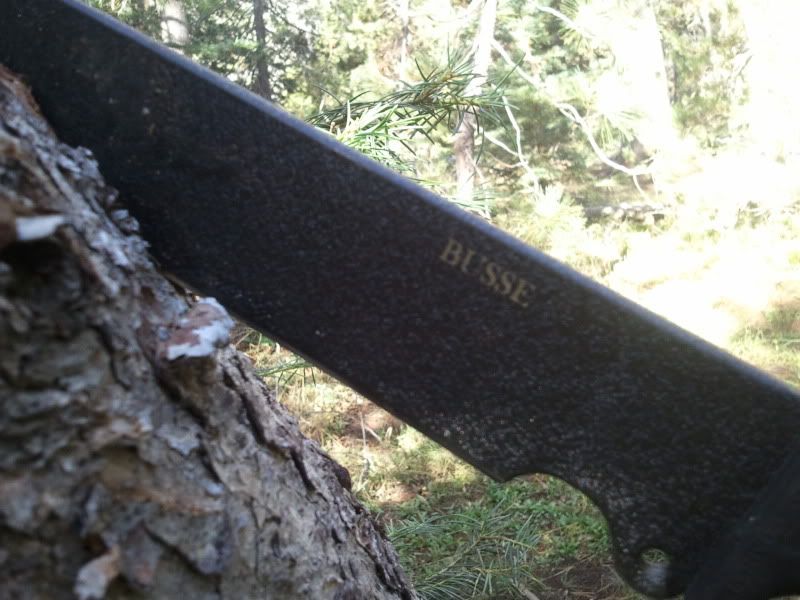 [Linked Image from img.photobucket.com]