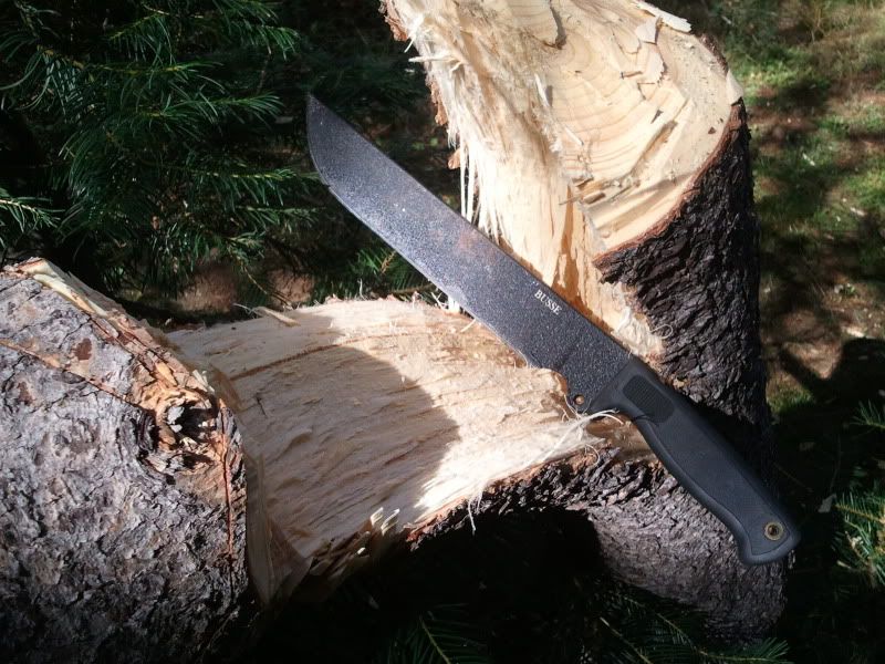 [Linked Image from img.photobucket.com]