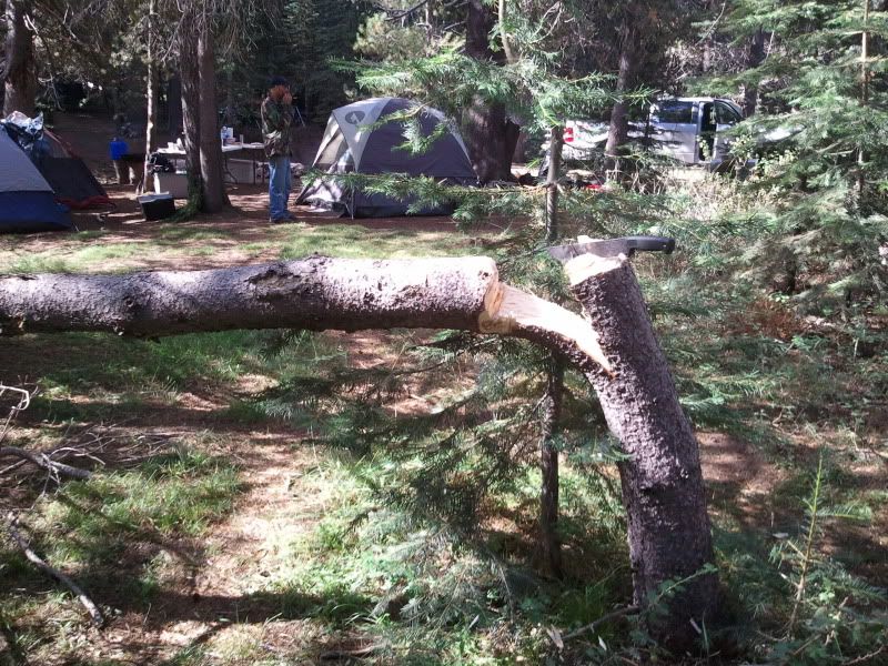 [Linked Image from img.photobucket.com]