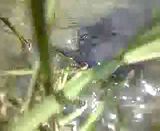 [Linked Image from img.photobucket.com]