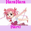 HaraHara Haru Avatar