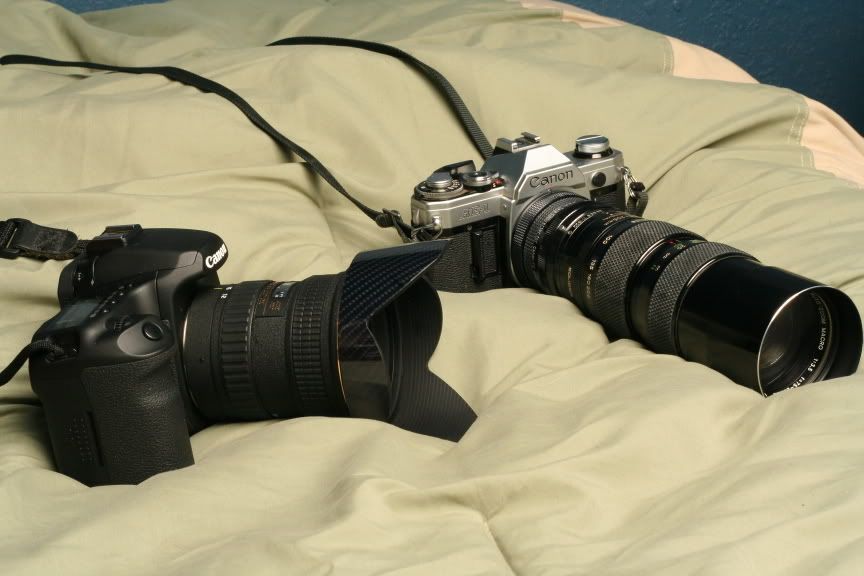 IMAGE: http://img.photobucket.com/albums/v508/BeanieBMX/IMG_4757.jpg