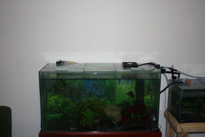 Aquarium-Chiller006.jpg