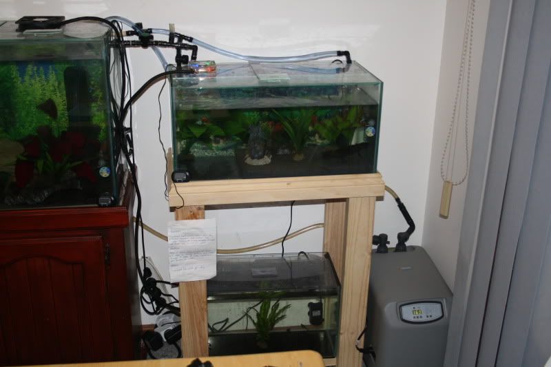 Aquarium-Chiller007.jpg