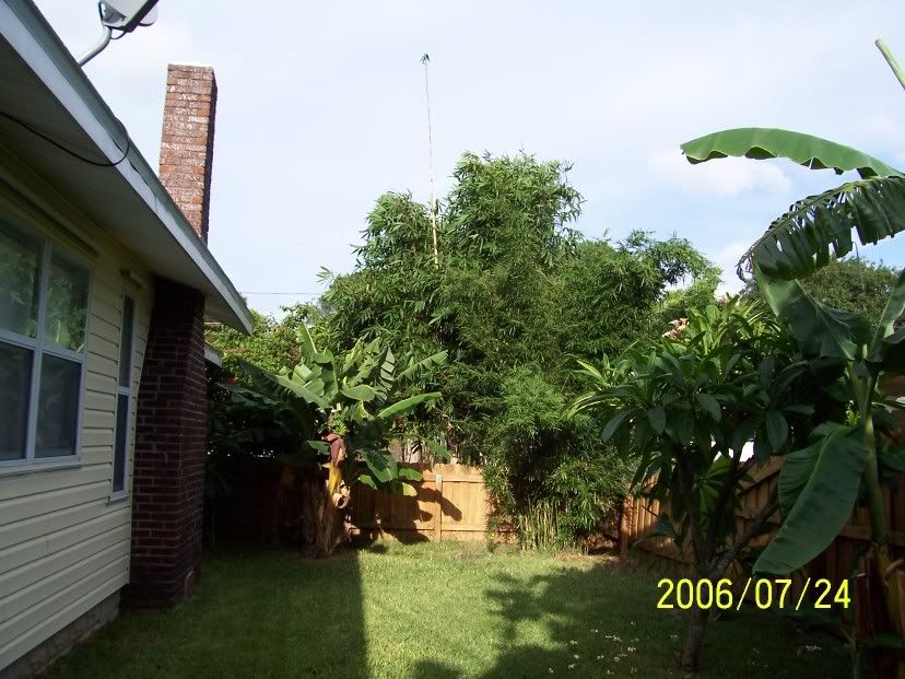 misc7-25-06003.jpg