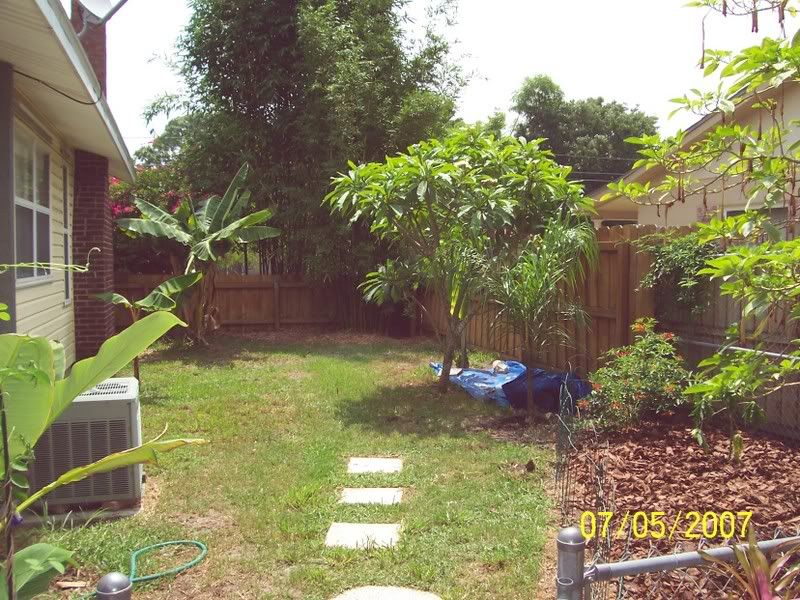 yard7-4-07010.jpg