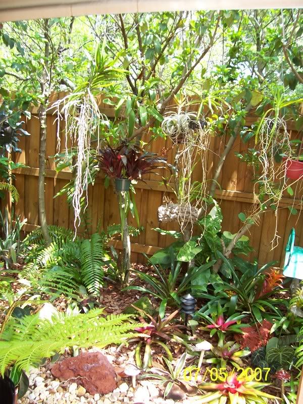 yard7-4-07011.jpg