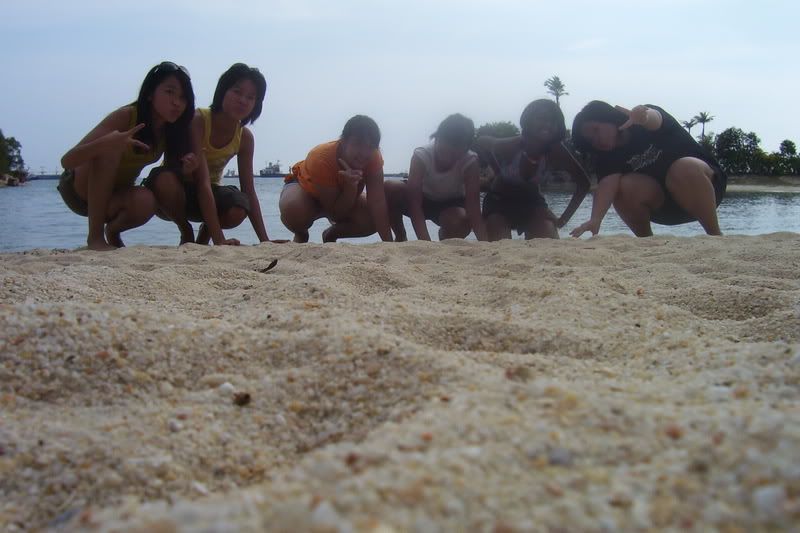 Photo Sharing and Video Hosting at Photobucket