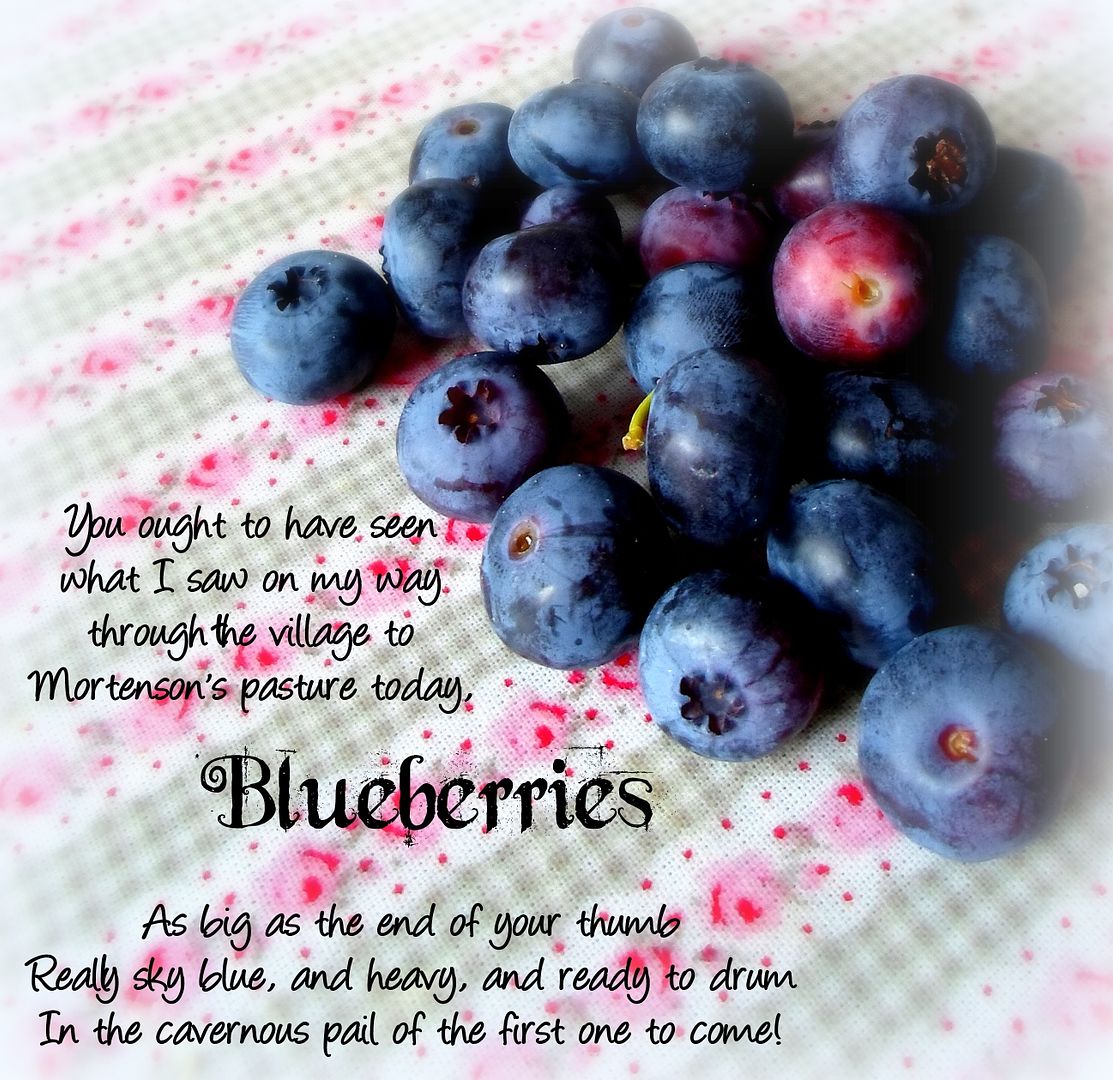  photo Blueberries_zpsae2e1eba.jpg